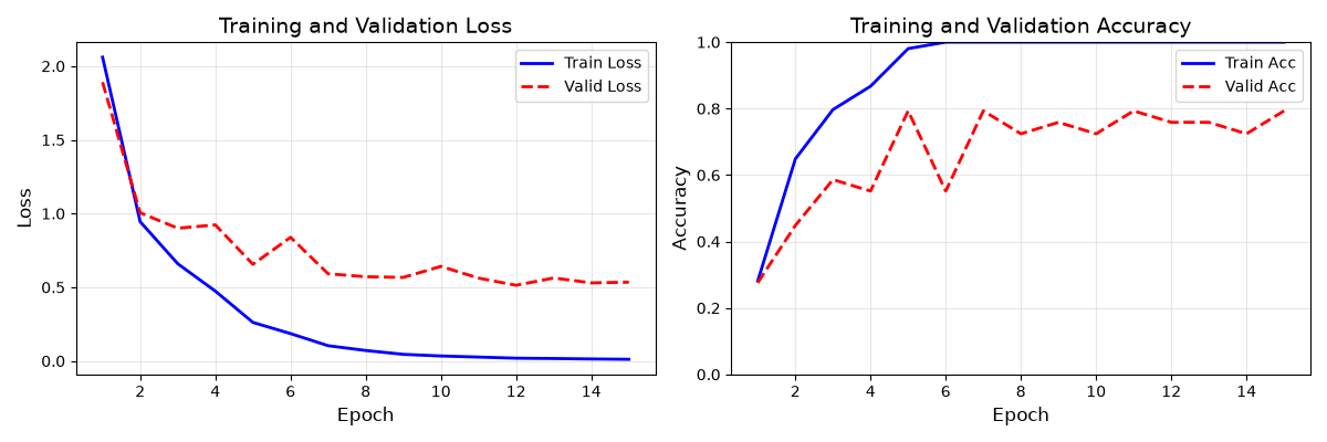Training and Validation Loss, Training and Validation Accuracy