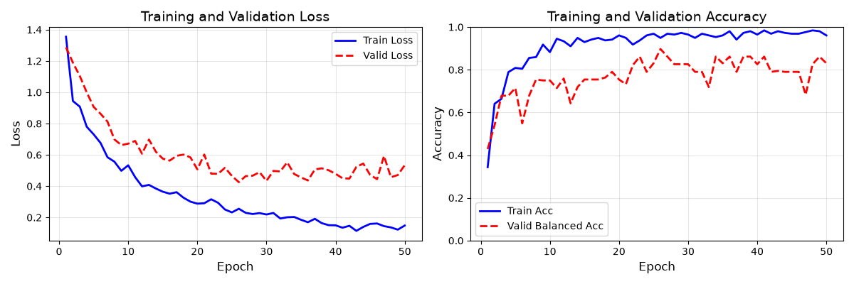 Training and Validation Loss, Training and Validation Accuracy