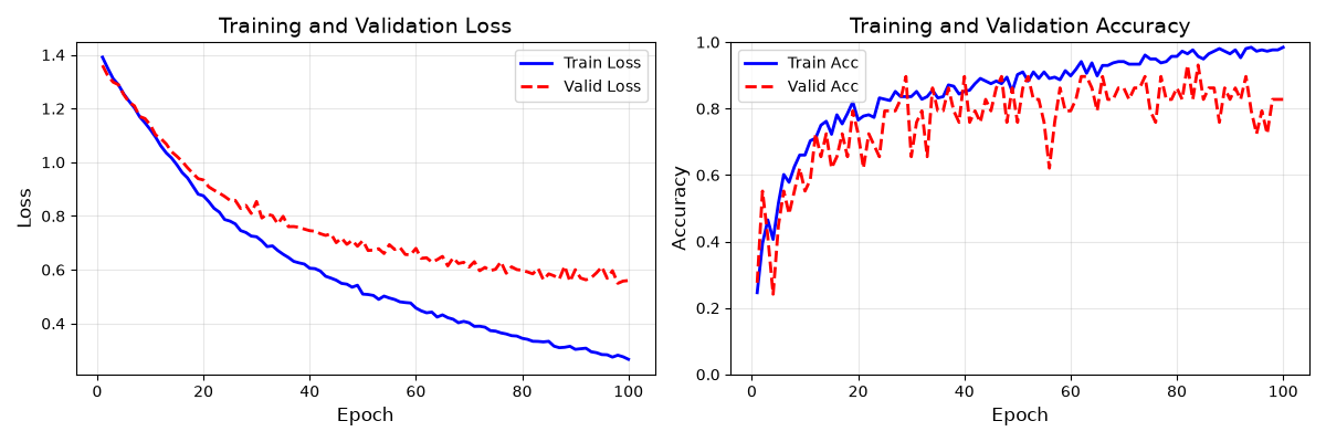 Training and Validation Loss, Training and Validation Accuracy
