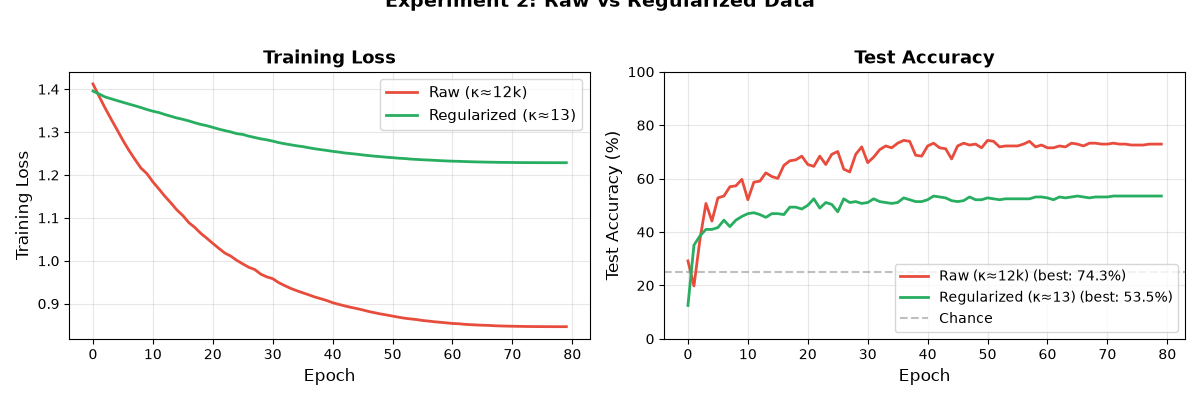 Experiment 2: Raw vs Regularized Data, Training Loss, Test Accuracy